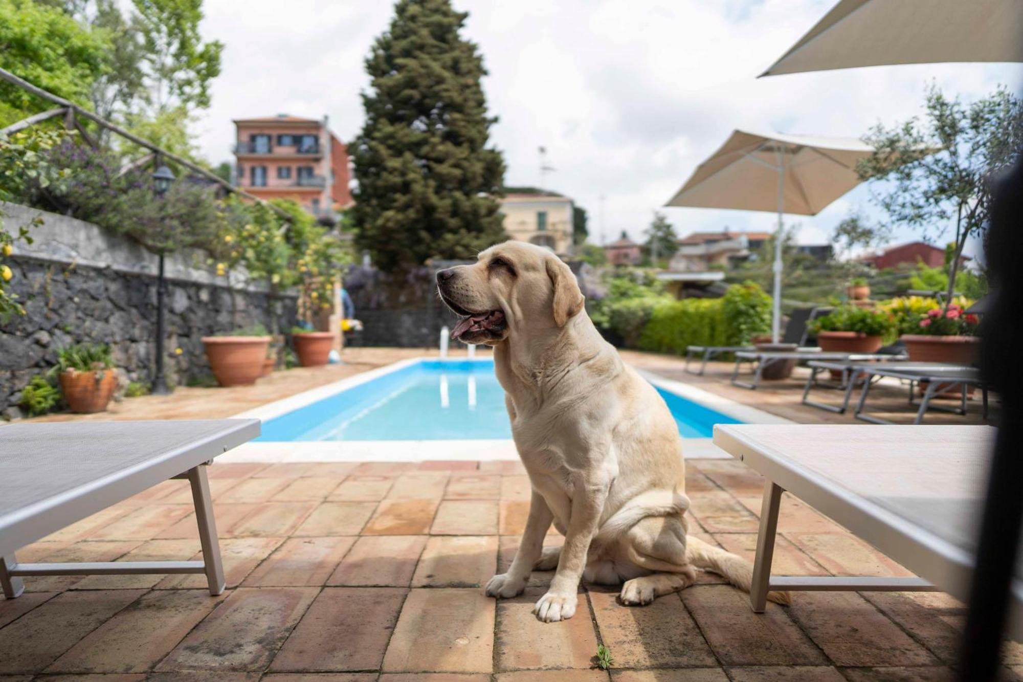 B&B Bellini Milo Exterior photo